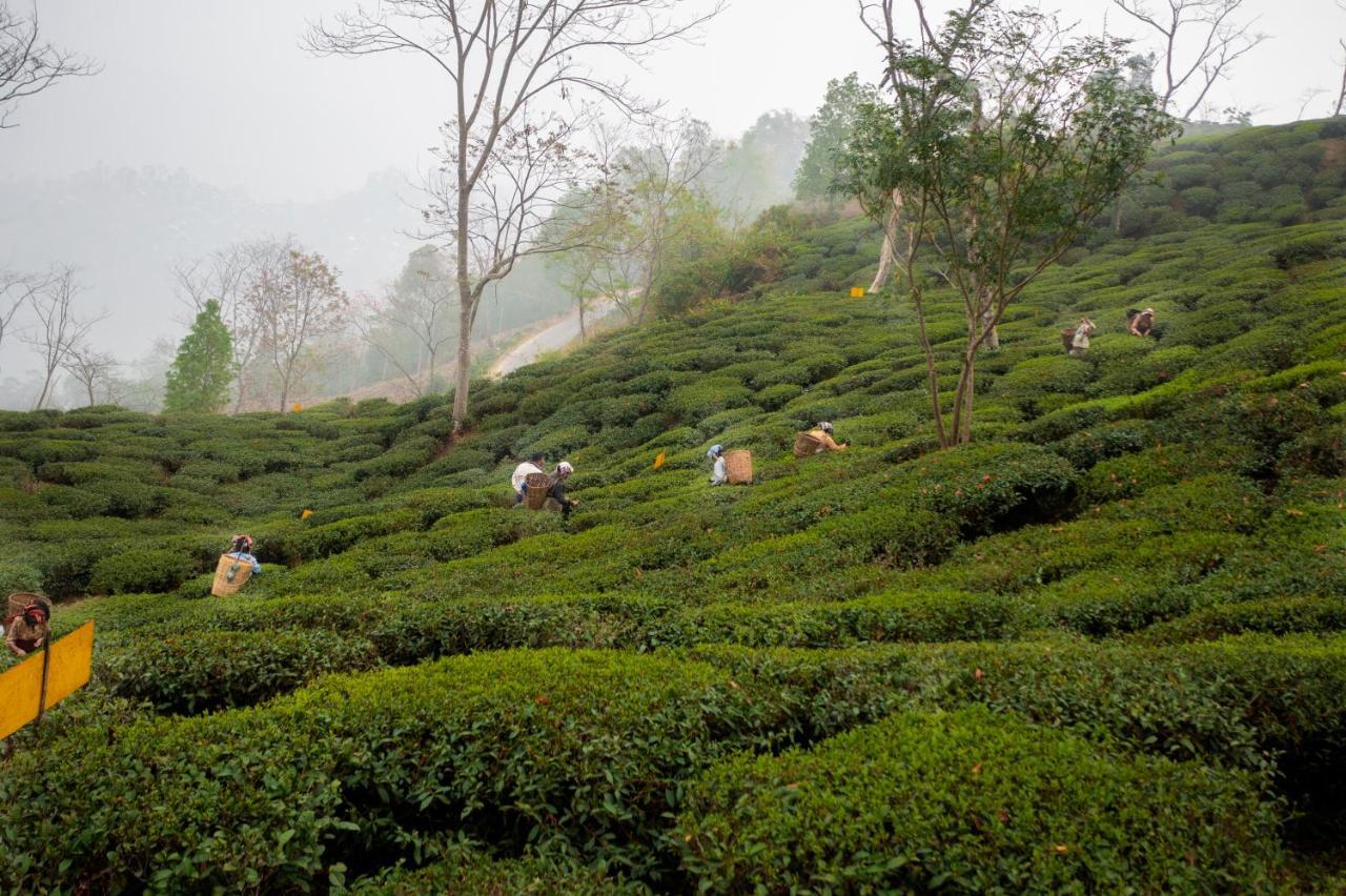 Ama Stays & Trails Puttabong Cottage, Darjeeling Darjeeling  Dış mekan fotoğraf